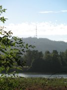 7.27.06 Oaks Bottom 019 